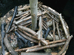 Fabrication du charbon de bois par Claude Schosseler : photo 6