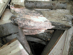 Fabrication du charbon de bois par Claude Schosseler : photo 11