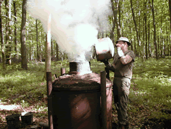 Fabrication du charbon de bois par Claude Schosseler : photo 23