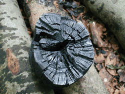 Fabrication du charbon de bois par Claude Schosseler : photo 34